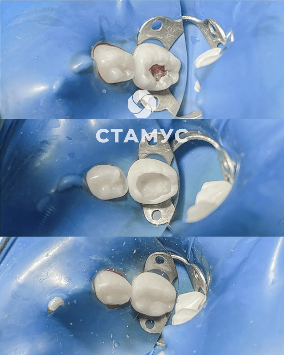 Cертификат